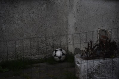 أجملانغامحالاتواتسابلتعبيرعنمشاعرك